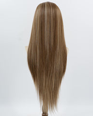 Brown Skunk Stripe Blonde Synthetic Lace Front Wig WW1004