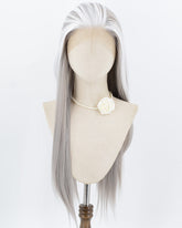 Grey Skunk Stripe White Synthetic Lace Front Wig WW1018