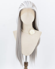 Grey Skunk Stripe White Synthetic Lace Front Wig WW1018
