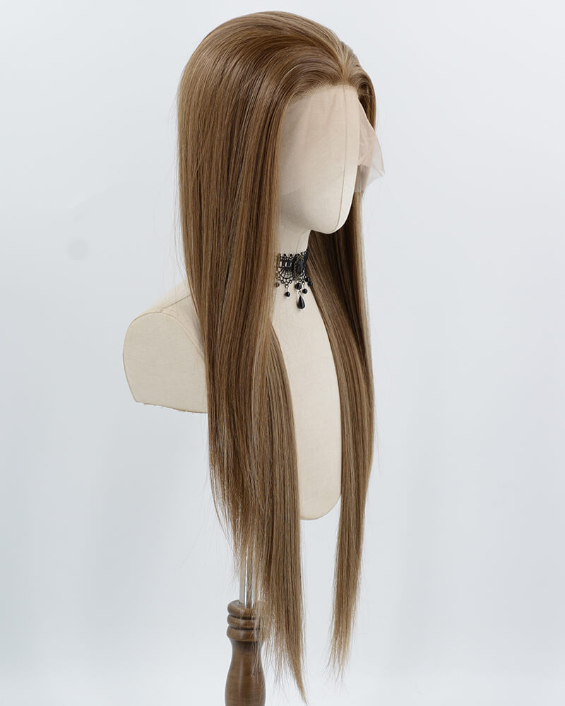 Brown Skunk Stripe Blonde Synthetic Lace Front Wig WW1004