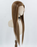 Brown Skunk Stripe Blonde Synthetic Lace Front Wig WW1004