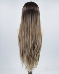Black Ombre Brown Grey Synthetic Lace Front Wig WW549