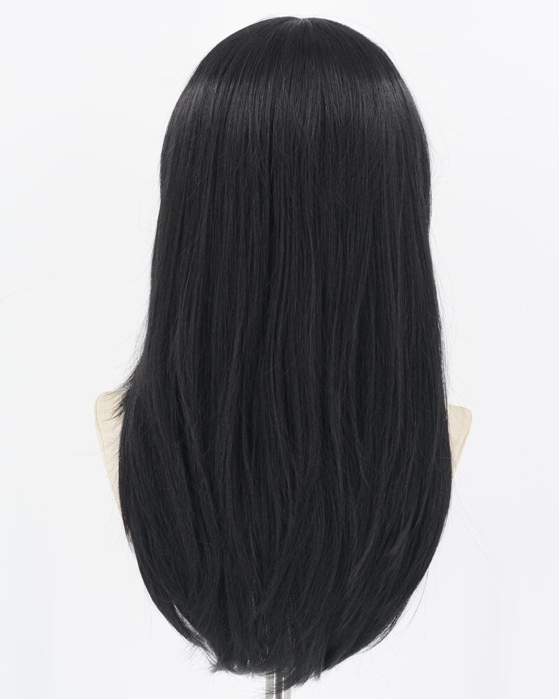 Black Straight Synthetic Lace Front Wig WT263