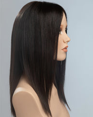Natural Black Straight Human Hair Wig HT038