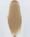 Long Blonde Brown Synthetic Lace Front Wig WT058