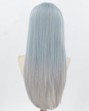 Blue Grey Synthetic Wig HW815