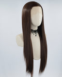 Straight Brown Synthetic Lace Front Wig WT074