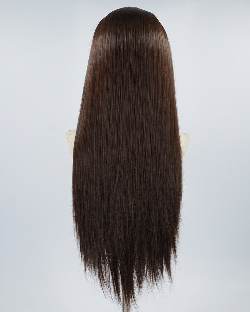 Straight Brown Synthetic Lace Front Wig WT074
