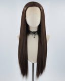 Straight Brown Synthetic Lace Front Wig WT074