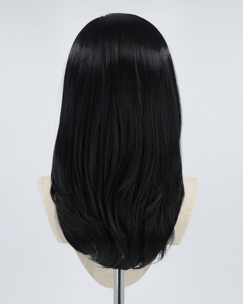 Blonde Streaked Black Synthetic Lace Front Wig WW292