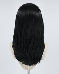 Blonde Streaked Black Synthetic Lace Front Wig WW292