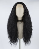 Long Black Curly Synthetic Lace Front Wig WW348