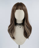 Blonde Streaked Brown Synthetic Wig HW189