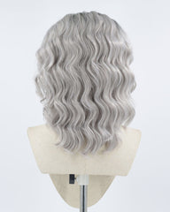 Ombre Gray Curly Synthetic Lace Front Wig WW009