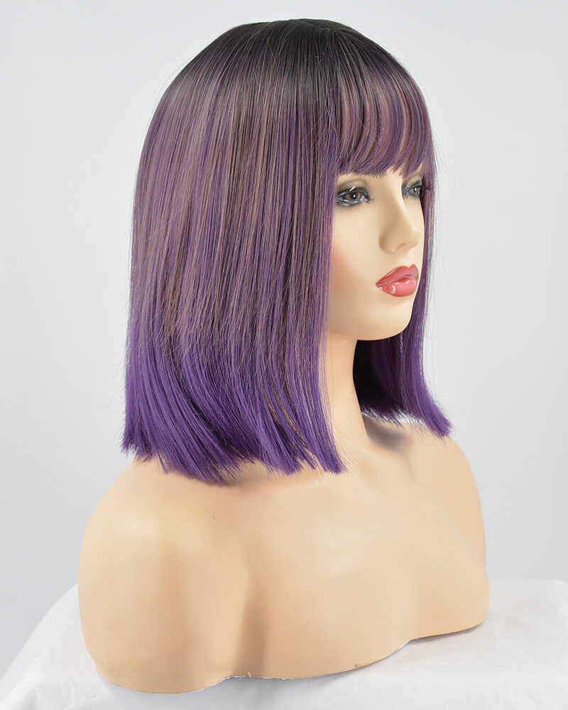 Ombre Purple Hard Front Wig HW039