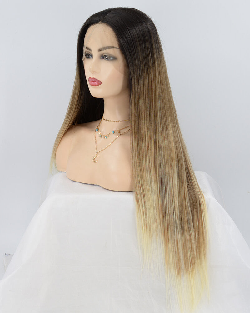 Brown Straight Ombre Synthetic Lace Front Wig WT066